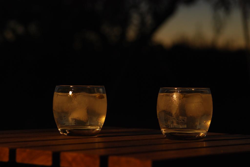Bubulcus And Bolotas - Off Grid Nature Holiday Home Vimieiro  Екстер'єр фото