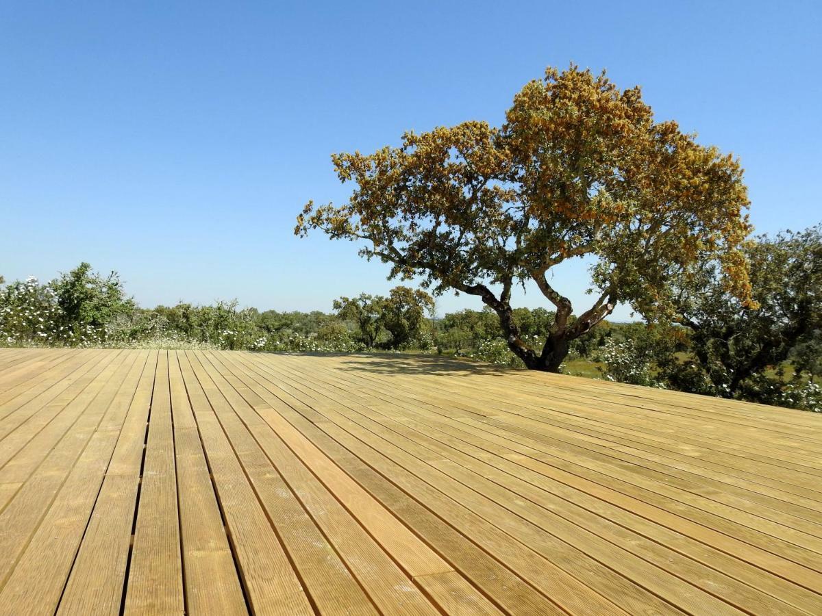 Bubulcus And Bolotas - Off Grid Nature Holiday Home Vimieiro  Екстер'єр фото